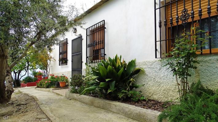 Canar. Cute cortijo and land with a large variety of trees