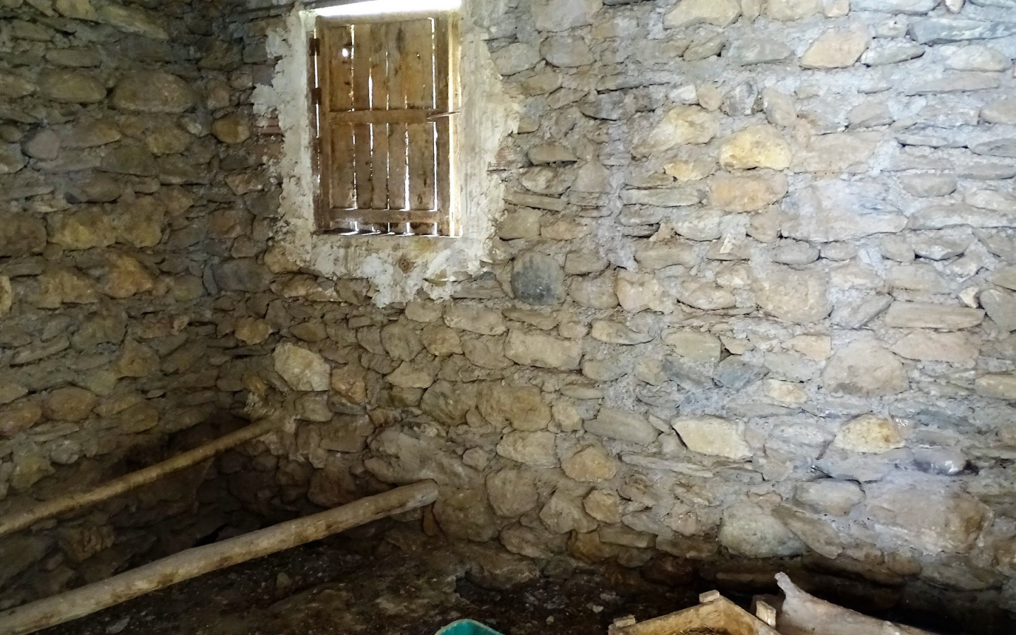 DSC07236