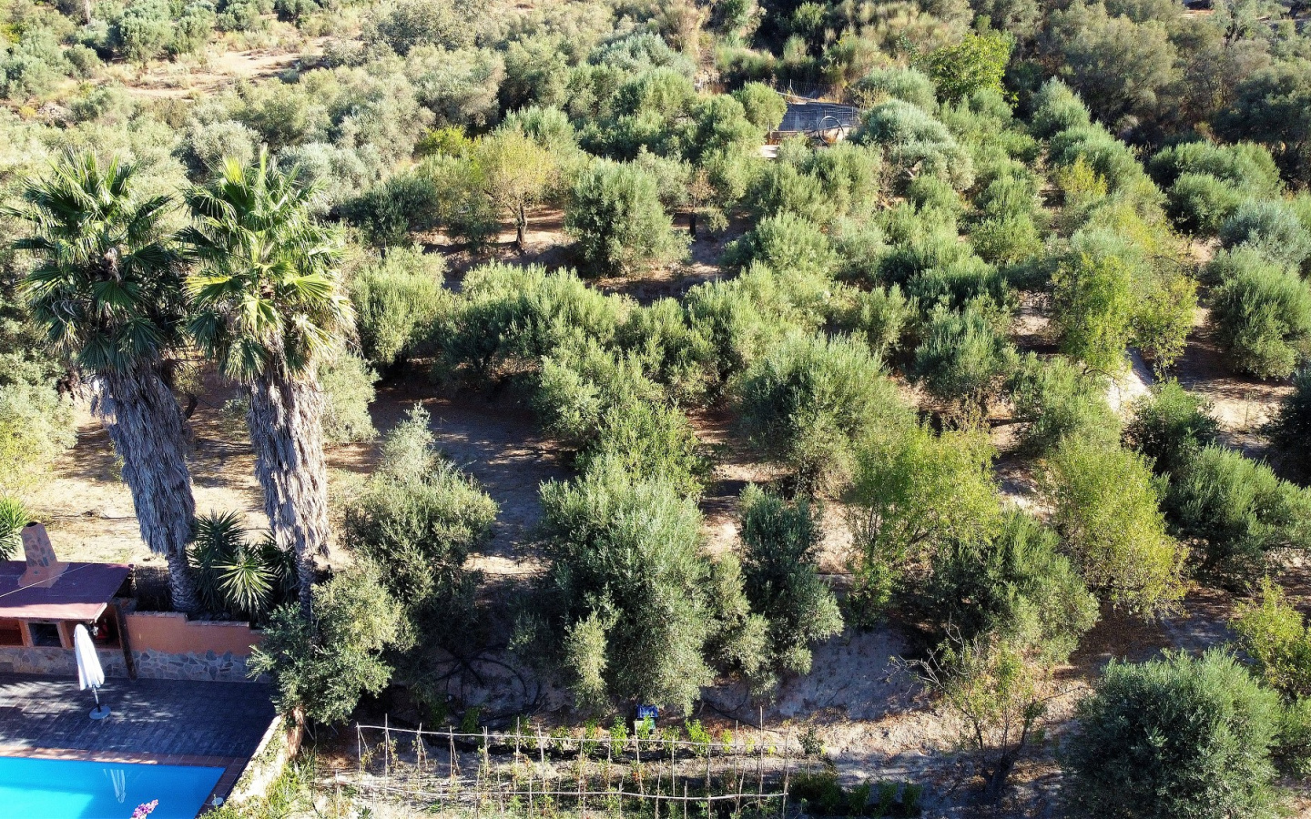 DJI_0088
