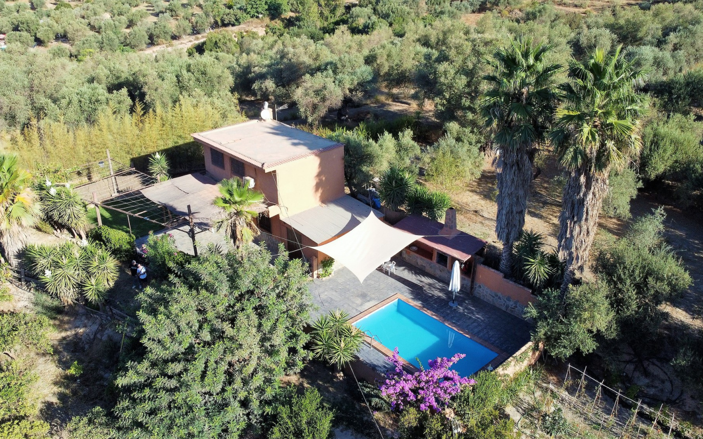 DJI_0089