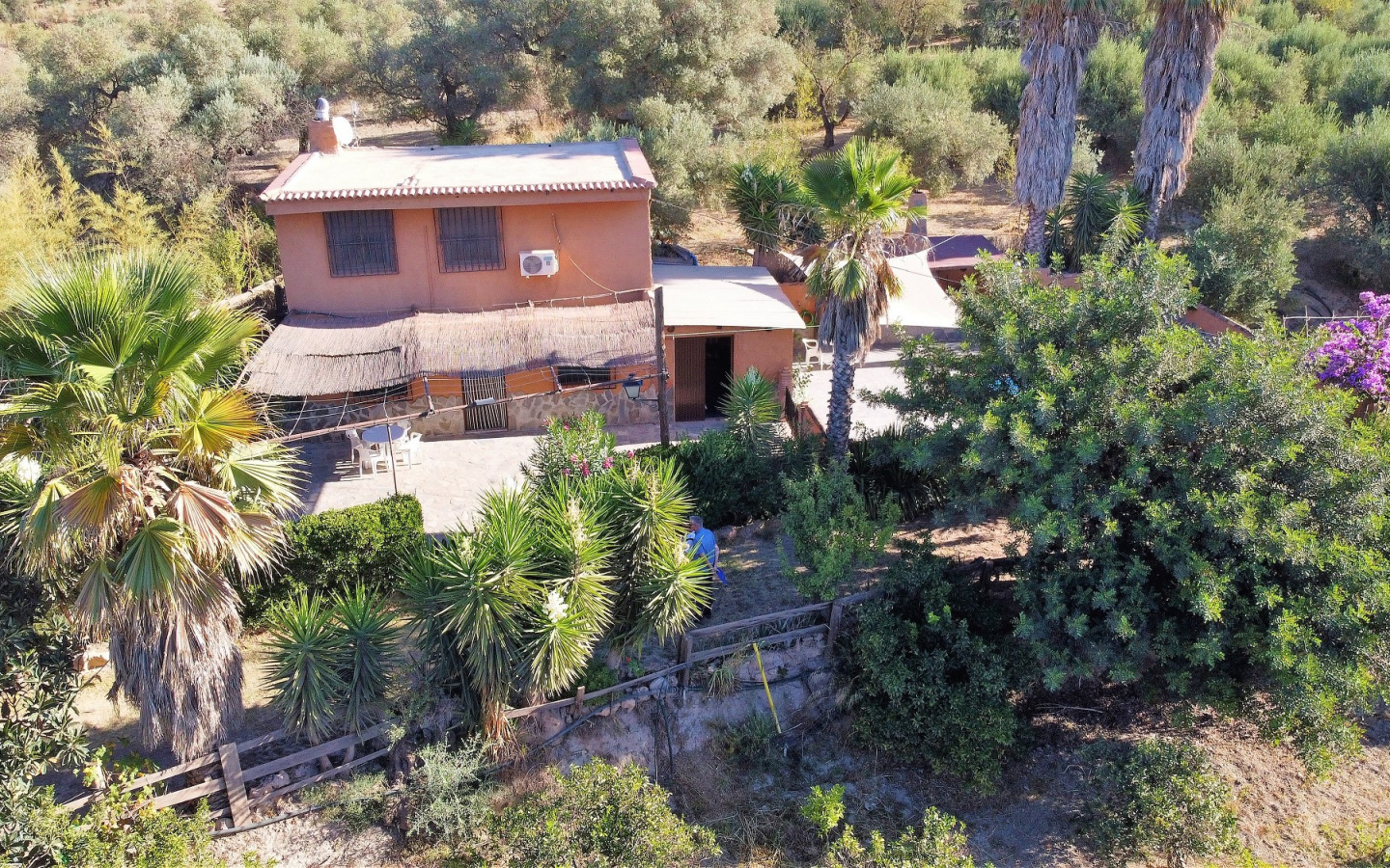 DJI_0091