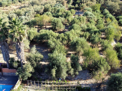 DJI_0088