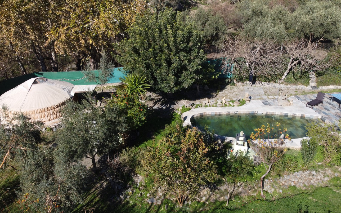 DJI_0259