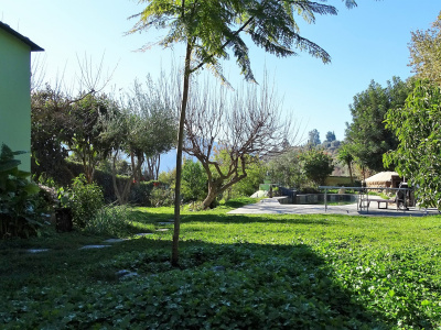 DSC09848