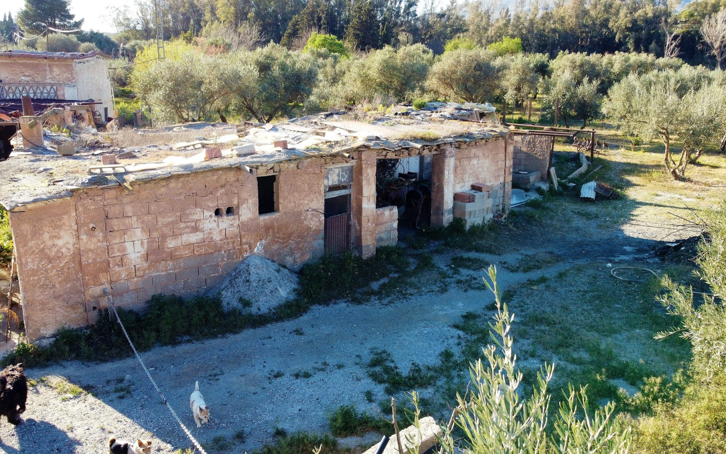 DJI_0310