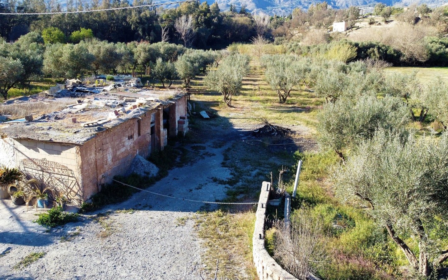 DJI_0313