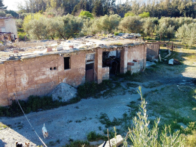 DJI_0310