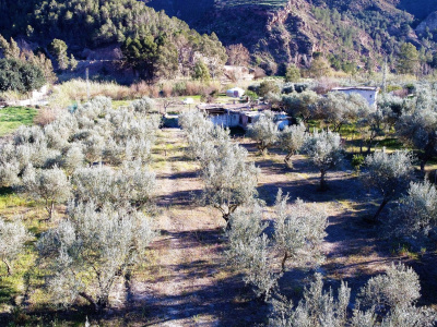 DJI_0312