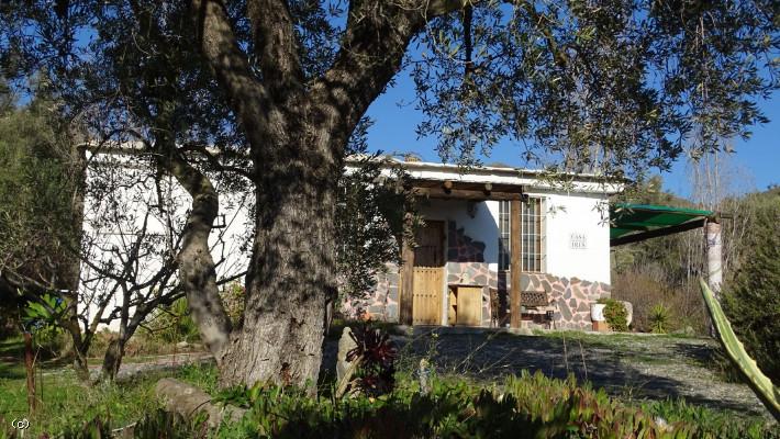 Lanjaron. TWO cortijos, TWO yurts, Organic Land and swimming pool