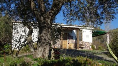 0202, Lanjaron. TWO cortijos, TWO yurts, Organic Land and swimming pool