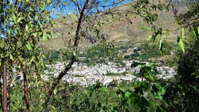 0243, Guejar Sierra. Country Property with fruit trees